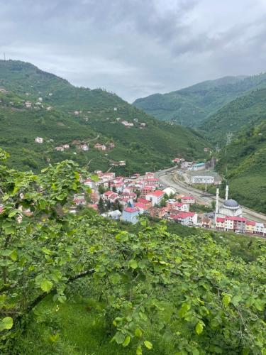 Tuvākā izklaides vieta, Yeşil ve huzur dolu bir daire (Yesil ve huzur dolu bir daire) in Bulancak