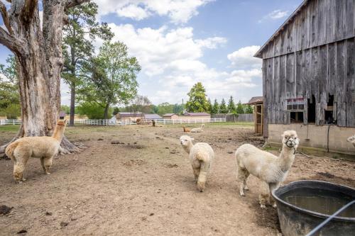 . Watch Deer from a Farm Cottage