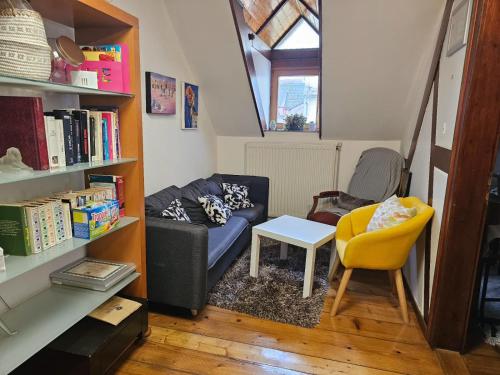 Petit Paradis Croneuva, Strasbourg (photo 8)