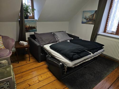 Petit Paradis Croneuva, Strasbourg (photo 4)