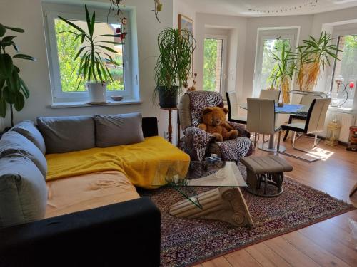 Wohnung im ZFH mit Terrasse und Garten, Leipzig (photo 4)