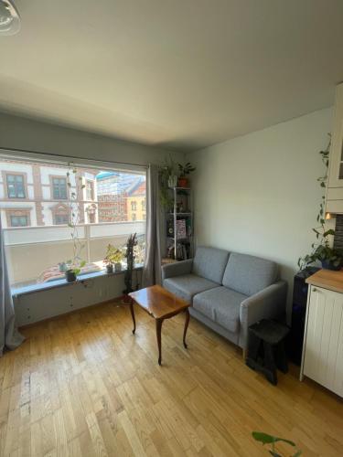 Cozy Apartment Oslo in Sagene