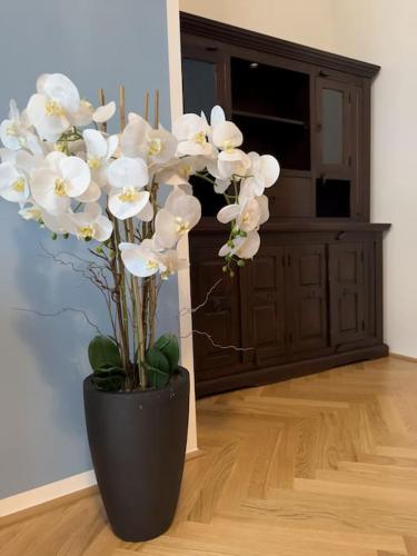 Classy Suite Museumsquartier - image 8