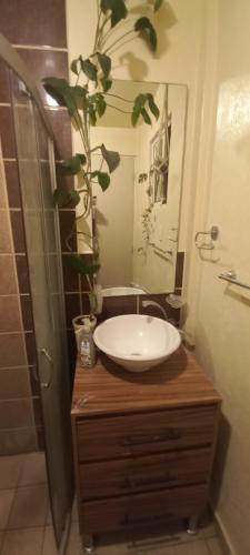 Private Aparment Casa Amadis