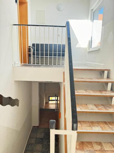 Aalreuse in รอสตอค