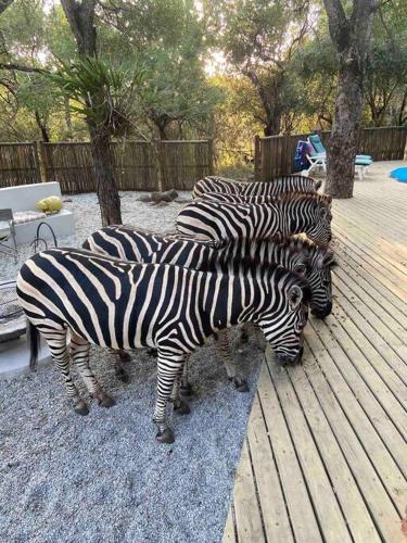 Nokuthula Bush Retreat