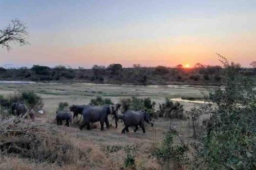 Nokuthula Bush Retreat
