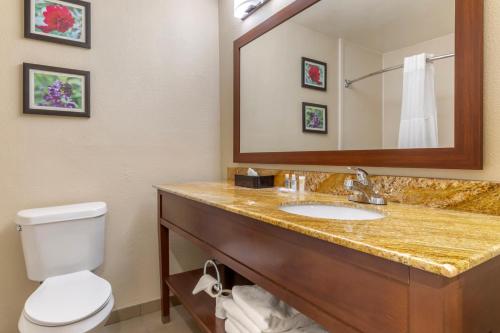 Comfort Inn & Suites Temple - image 8