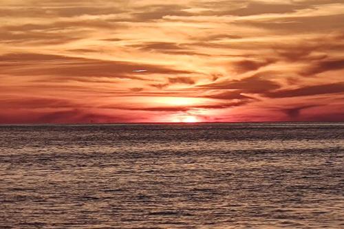 Sago Palm Way Sago Palm Way