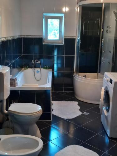 Vannas istaba, casa de vacanta in Svinita