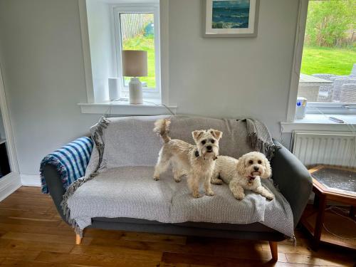 Owl Cottage - Dog Friendly