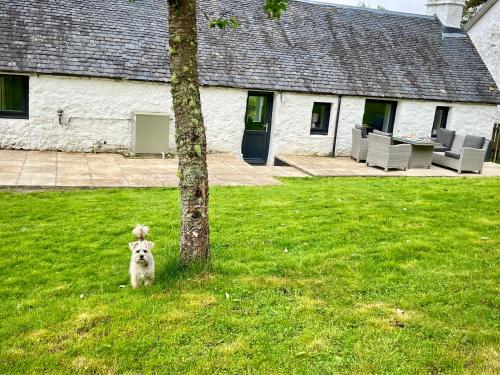 Owl Cottage - Dog Friendly