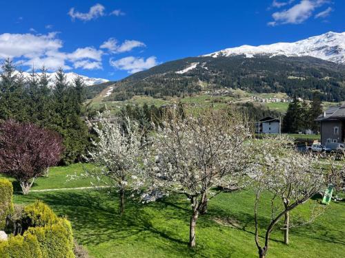 Chalet Stelle Di Neve - image 5