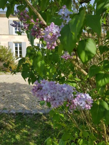 La bastide de Margaux - Chambre d'hôtes - Soussans