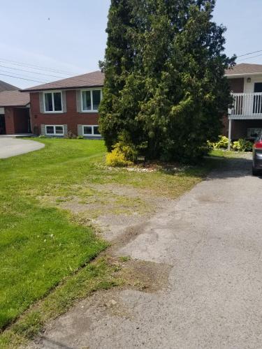 Newly Furnished Modern Apartment in เวลแลนด์ (ON)