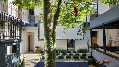 Facilities, Choco Hostel in Puebla