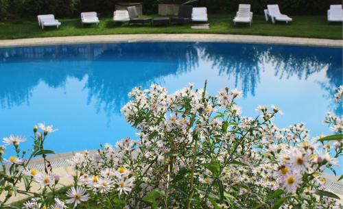 Quinta Do Crestelo Aparthotel - image 14
