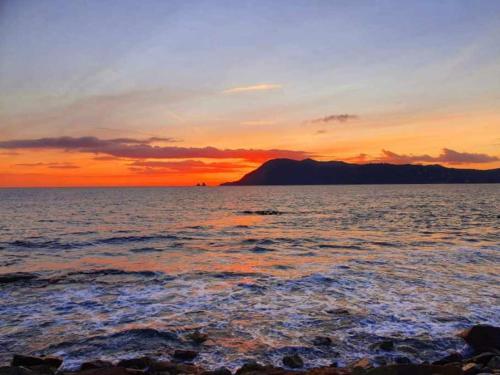 T2 paisible, wifi, proche plage et pinède (T2 paisible, wifi, proche plage et pinede) in 濱海聖芒德里耶