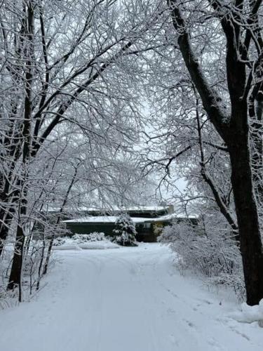 Mid-Century Lakefront Haven Near Wayzata - image 12