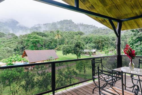 View, Hacienda Mil Bellezas - Private 40ha Jungle Reserve in Suburbs