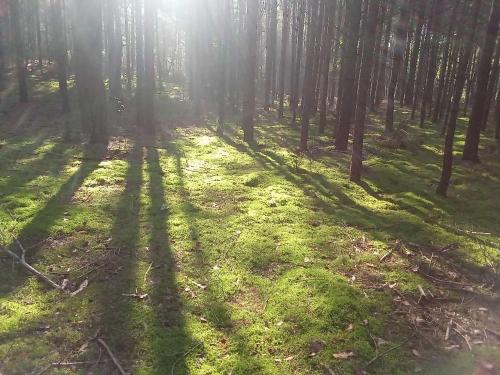 Dom na Skraju Lasu in Крупа
