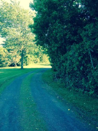 Cedar Drive B&B Gite