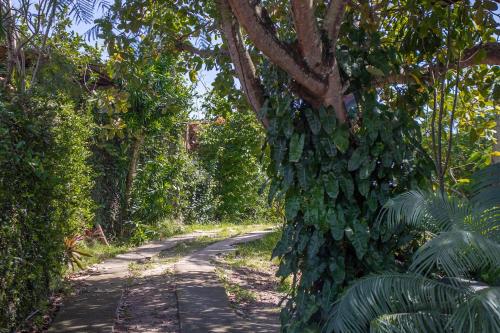 Padang Hostel – Pipa, MT
