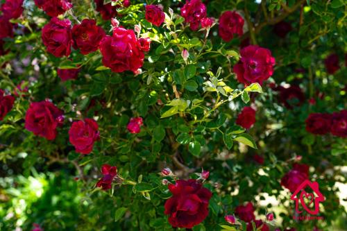 Pueblo Moon w Pool - An Irvie Home Pueblo Moon w Pool - An Irvie Home