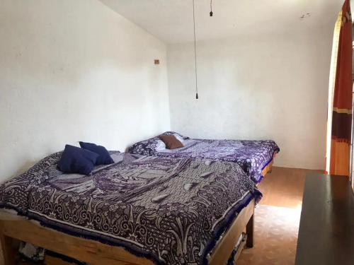 Casa antigua llena de vida, alberca en Cuernavaca in Cuernavaca, Mexico
