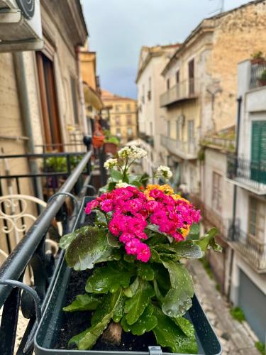 Kalsa Terrace Boutique Apartment, Palermo (photo 6)