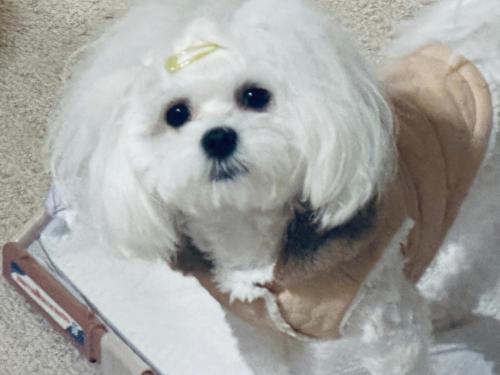 Scorpio House Langley ROOM A