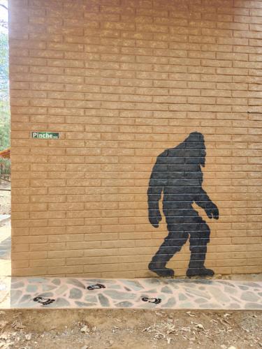 Cabaña Sasquatch in Tapalpa, Mexico