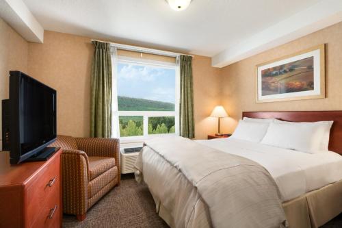 1 queen bed