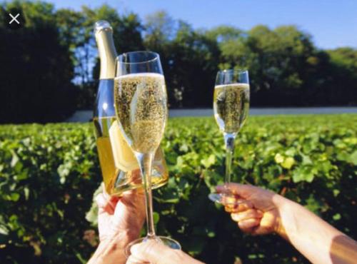 D119 Silver Birch Family Stay in West Footscray