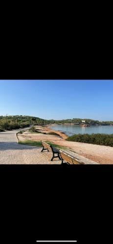 Kavouri Retreat, Only pines hide the sea, Athens (photo 7)