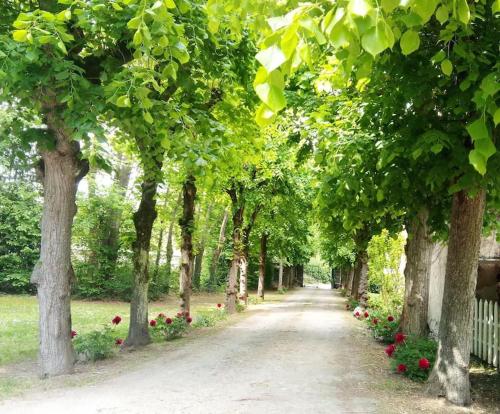 La Grange de Saint-Martin / Les écuries du Chateau St-Martin gîte à louer Marsat