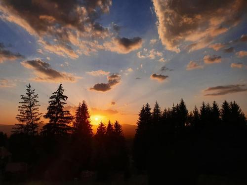 Cabana Deasupra Norilor Cabana Deasupra Norilor