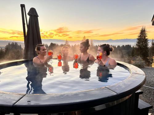 Cabana Deasupra Norilor Cabana Deasupra Norilor