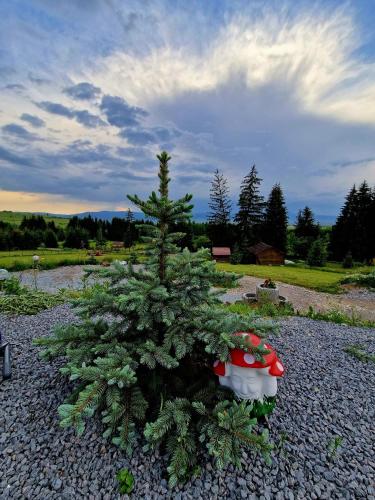 Cabana Deasupra Norilor Cabana Deasupra Norilor