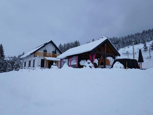 Cabana Deasupra Norilor Cabana Deasupra Norilor