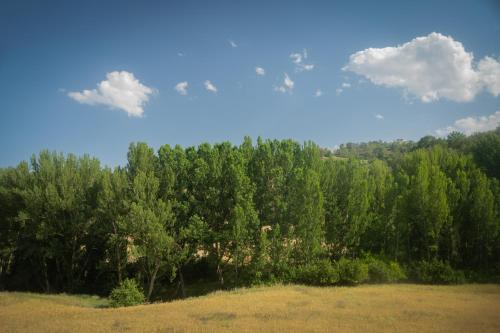 周邊環境, Casa Rural Mayoral (Barriopedro) in 布里烏耶加