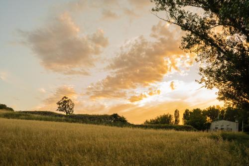 周邊環境, Casa Rural Mayoral (Barriopedro) in 布里烏耶加