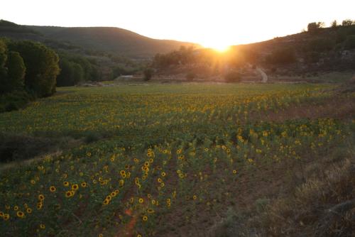 周邊環境, Casa Rural Mayoral (Barriopedro) in 布里烏耶加