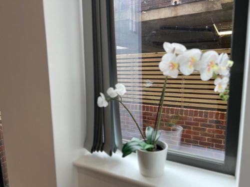 Luxury 1 Bed Apartment, Redhill (London & Gatwick)