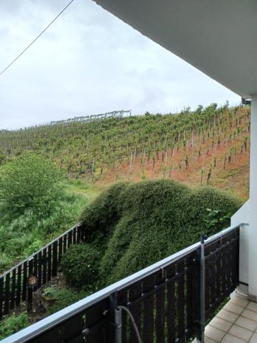 View, Gastehaus Bausch in Mehring (Trier-Saarburg)