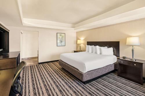 King Room - Non-Smoking