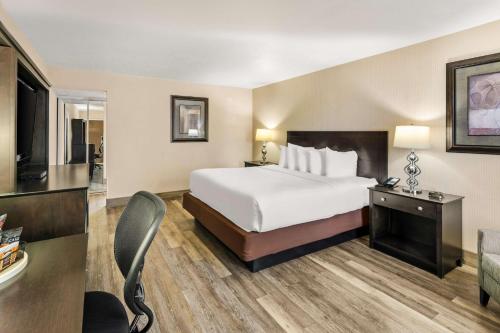 1 king bed