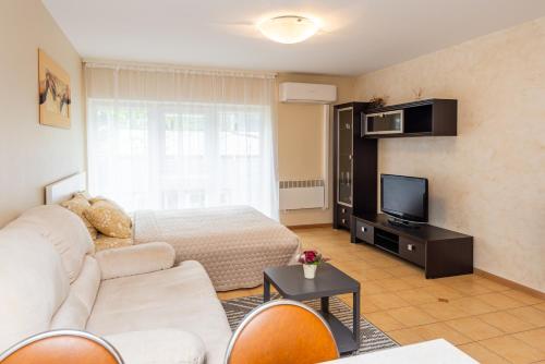Studio Apartment image 10