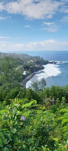 Le Palmier 2 T2 a Petite ile proche des commodités - Location saisonnière - Petite-Île