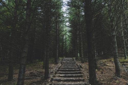 Buubble Hotel - Hrosshagi Buubble Hotel - Hrosshagi